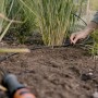 Gardena Micro-Drip-System Start-Set Pflanzreihen S im Einsatz zur Bewässerung von Pflanzen.