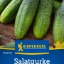 Kiepenkerl Salatgurken Delikateß Samen, mittellange, grüne Gurken auf Holzgrund.