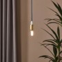 Eglo G9 LED-Leuchtmittel mit warmweißem Licht in Goldener Fassung.