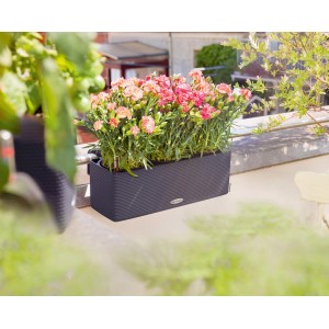 Lechuza Cube Color Triple Pflanzgefäß in Schiefergrau mit rosa Blumen auf einem Balkon.