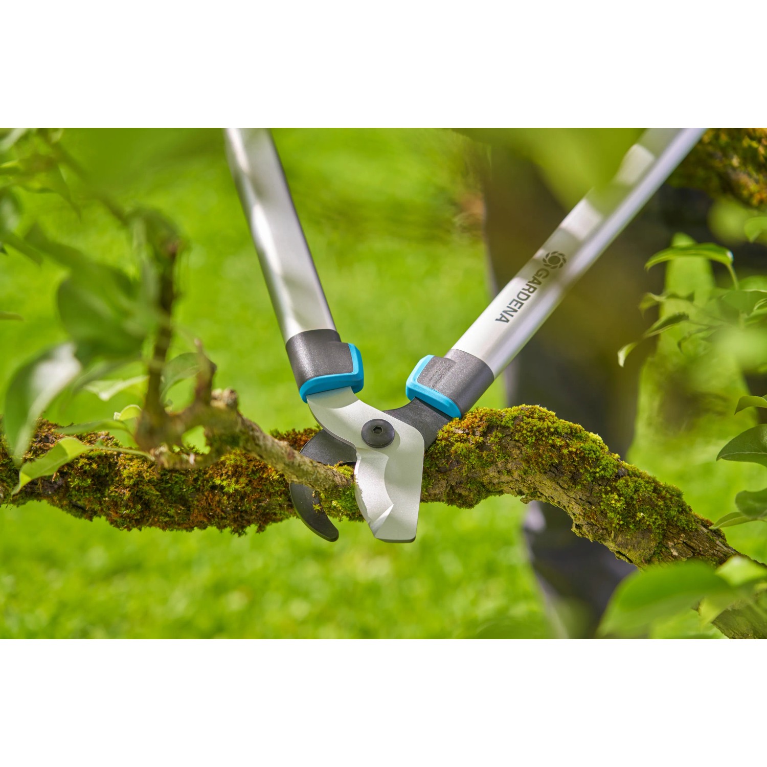 Gardena EasyCut L Astschere beim Schneiden eines Astes im Garten.