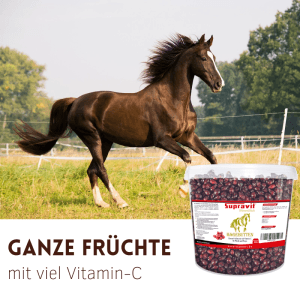 Galoppierendes Pferd auf Wiese; transparenter Eimer Supravit Hagebutten Pferdeleckerlis, ganze Früchte mit Vitamin C.