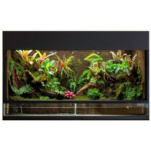 Terrarium mit tropischer Bepflanzung, Moos, Farnen und Bromelien in naturnaher Umgebung.