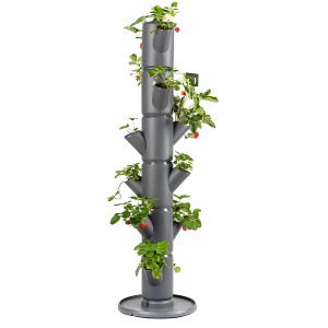 Anthrazitfarbener Gusta Garden Erdbeerturm Sissi Strawberry mit Erdbeerpflanzen.