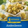 Kiepenkerl Ananaskirsche Goldmurmel Samen: Goldgelbe Früchte auf der Packung.