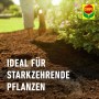 Compo Sana Balkon- und Kübelpflanzenerde 1 x 50 l_5