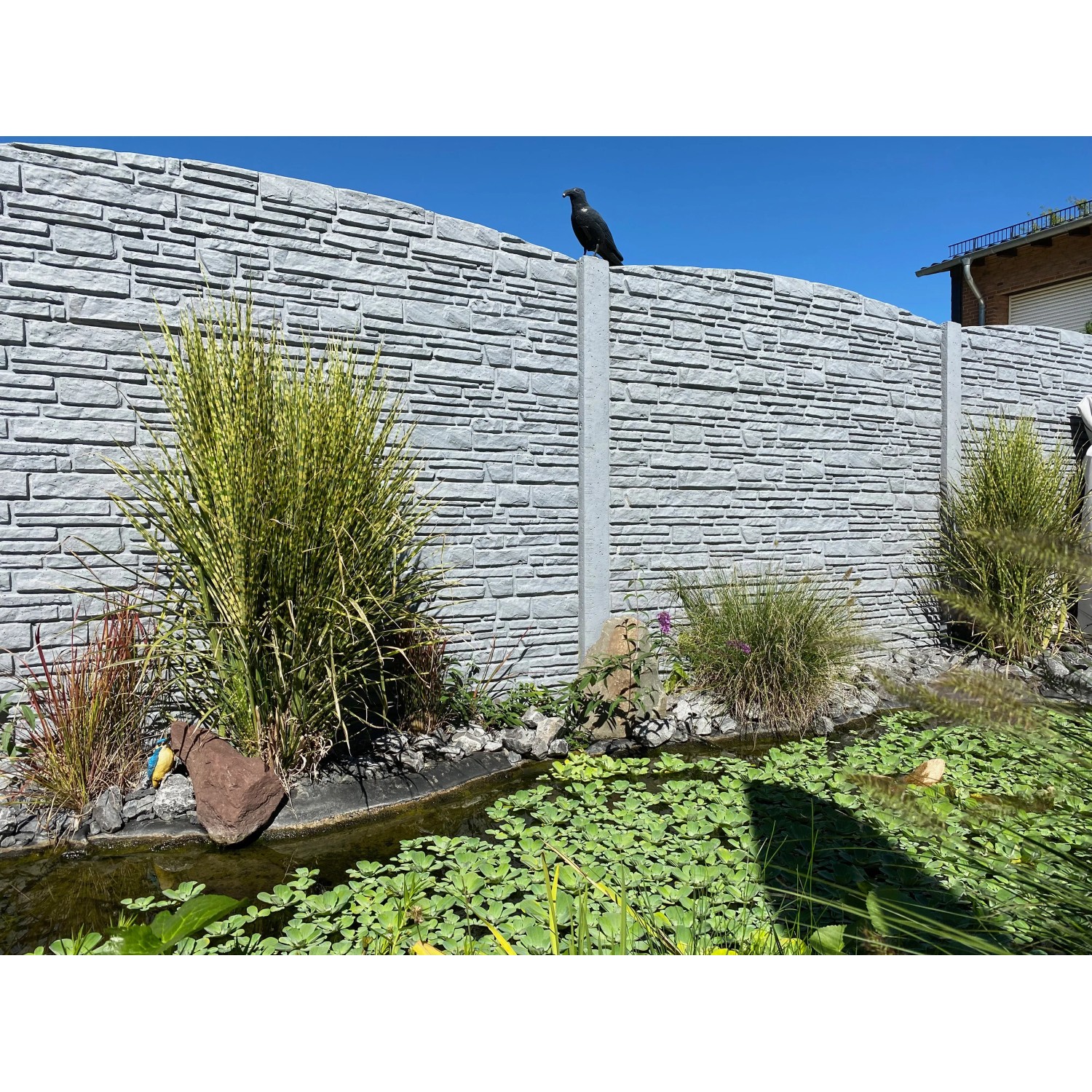 Graue Betonzaun-Bogenplatte Montana (200x45x3 cm) als Sicht- und Lärmschutz im Garten.