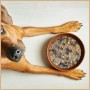 Brauner Hund blickt auf Supravit Flockenmix Plus Hundefutter mit Gemüse in brauner Schale auf hellem Holzboden.