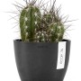 Ecopots Blumentopf Stockholm, dunkelgrau, 16 cm, mit Kaktus bepflanzt.