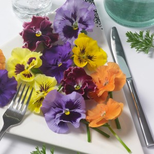 Essbare Blu Bio-Stiefmütterchen Blüten in verschiedenen Farben auf einem Teller mit Besteck.