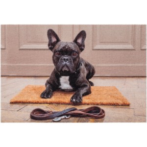 Astra Sauberlaufmatte mit Bulldoggen-Motiv, 40x60 cm. Fußmatte mit Hund und Leine vor einer Tür.