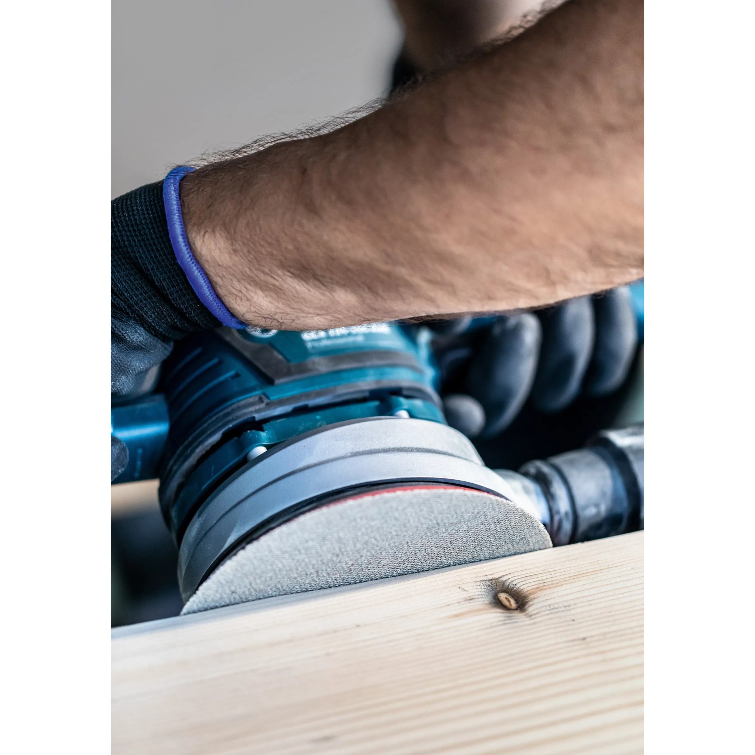 Bosch Expert M480 Netzschleifblatt K180 im Einsatz auf Holz mit Exzenterschleifer.