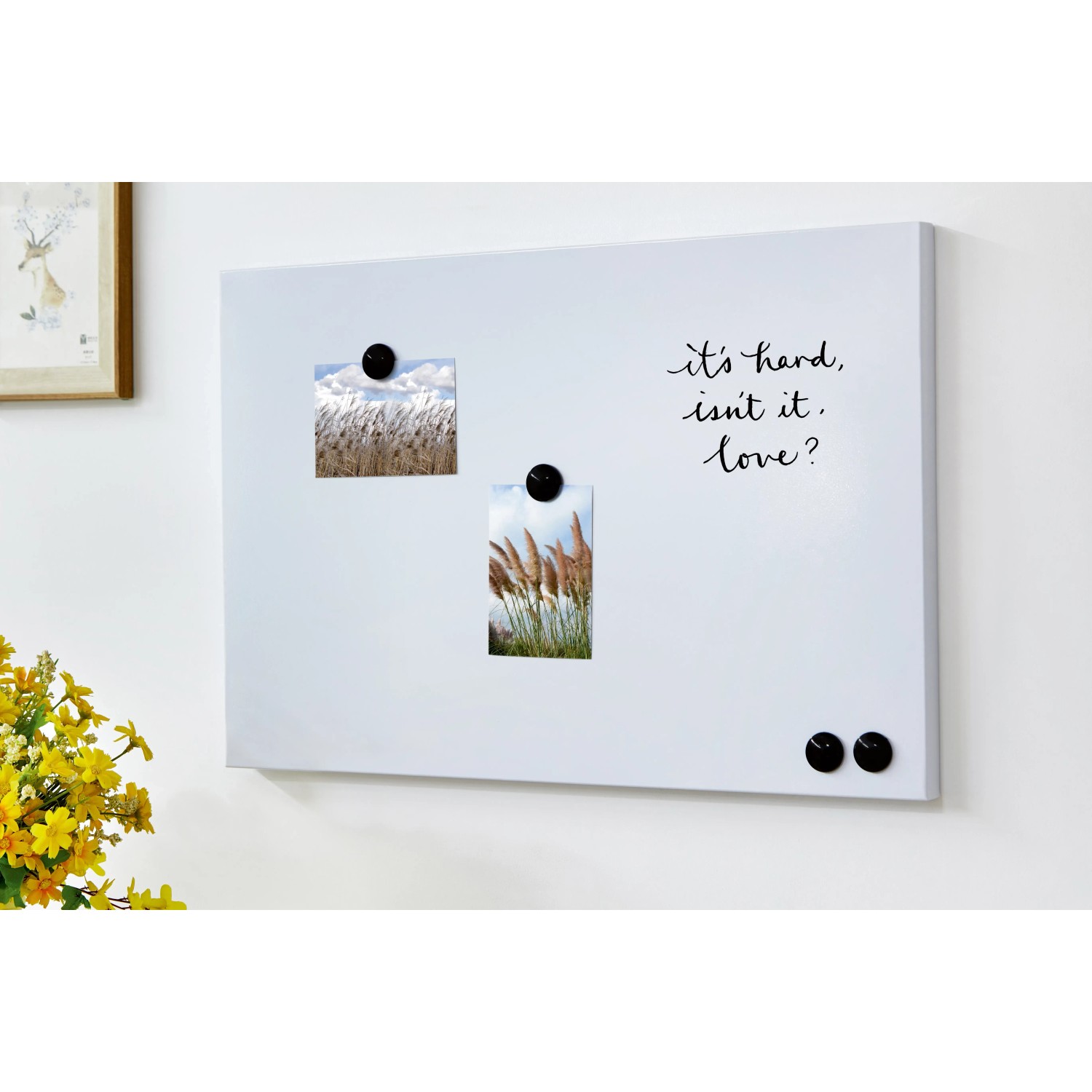 Magnetwand Weiß – 40x60 Cm Inkl. 4 Magneten – Für Notizen, Fotos & Co.