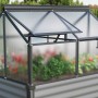 Vitavia Frühbeet Gaia Jumbo, schwarzer Rahmen, Hohlkammerplatten, aufstellbare Fenster.