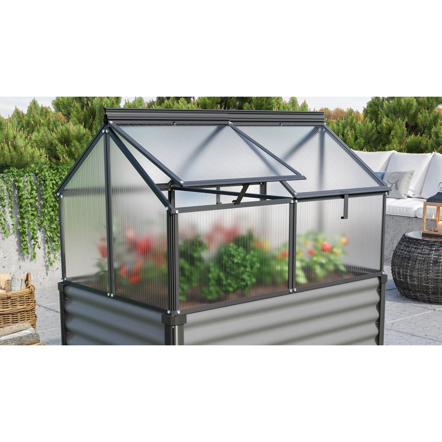 Vitavia Frühbeet Gaia Jumbo, schwarzer Rahmen, Hohlkammerplatten, aufstellbare Fenster.