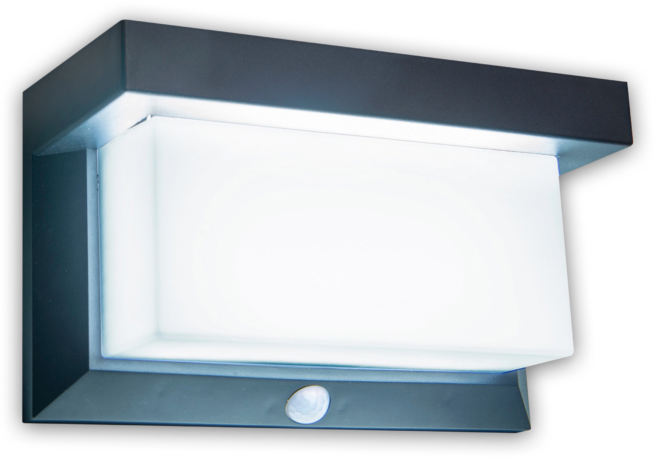 kaufen OBI Bewegungsmelder LED-Solar-Außenwandleuchte 12 mit Schwarz bei Näve cm