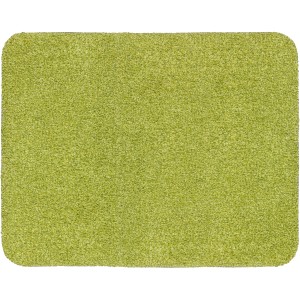 Grüne Astra Sauberlaufmatte Entra, saugstarke Fußmatte ca. 90x150 cm für den Innenbereich.