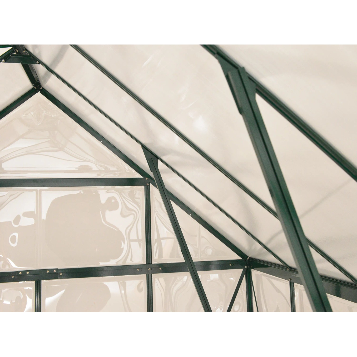 Innenansicht Palram Canopia Balance Gewächshaus 8x8 mit grünen Rahmen und klaren Polycarbonatplatten.