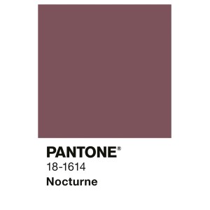 Alpina Innenfarbe Pantone Nocturne. Farbprobe in dunklem Violett. Matte Wandfarbe.