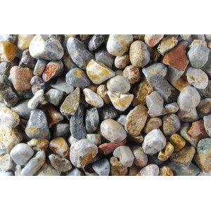 Teichkies Grau-Bunt, 16-32 mm, ideal für Gartenteiche und Naturpools.