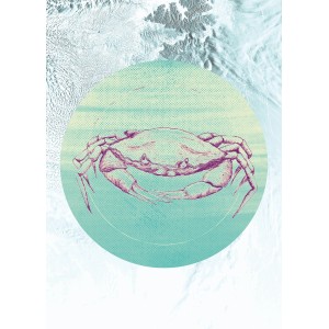 Komar Wandbild: stilisierte Krabbe auf türkisem Grund, 50x70 cm. Dekoratives Bild für Wohnräume.