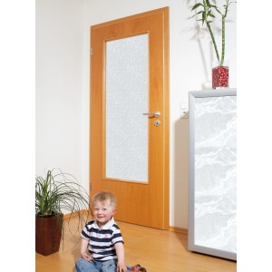 Holztür mit Türfüllung aus transparentem Polystyrolglas (5 mm).