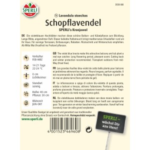 Samenpackung Sperli Schopflavendel 'Sperli´s Kronjuwel' lila, Lavandula stoechas für Balkon und Kübel.
