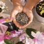 Hände halten Lechuza Orchidpon Orchideenerde, 6 Liter. Spezialsubstrat für Orchideen.