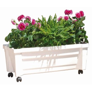 Weißer KHW Pflanzkasten Calypso mit Rollen und Bewässerungssystem, bepflanzt mit Blumen und Farn.