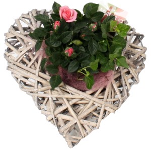 Rosen-Arrangement im Rattan-Herz Topf (Ø 25cm) als Geschenkidee für den Muttertag.