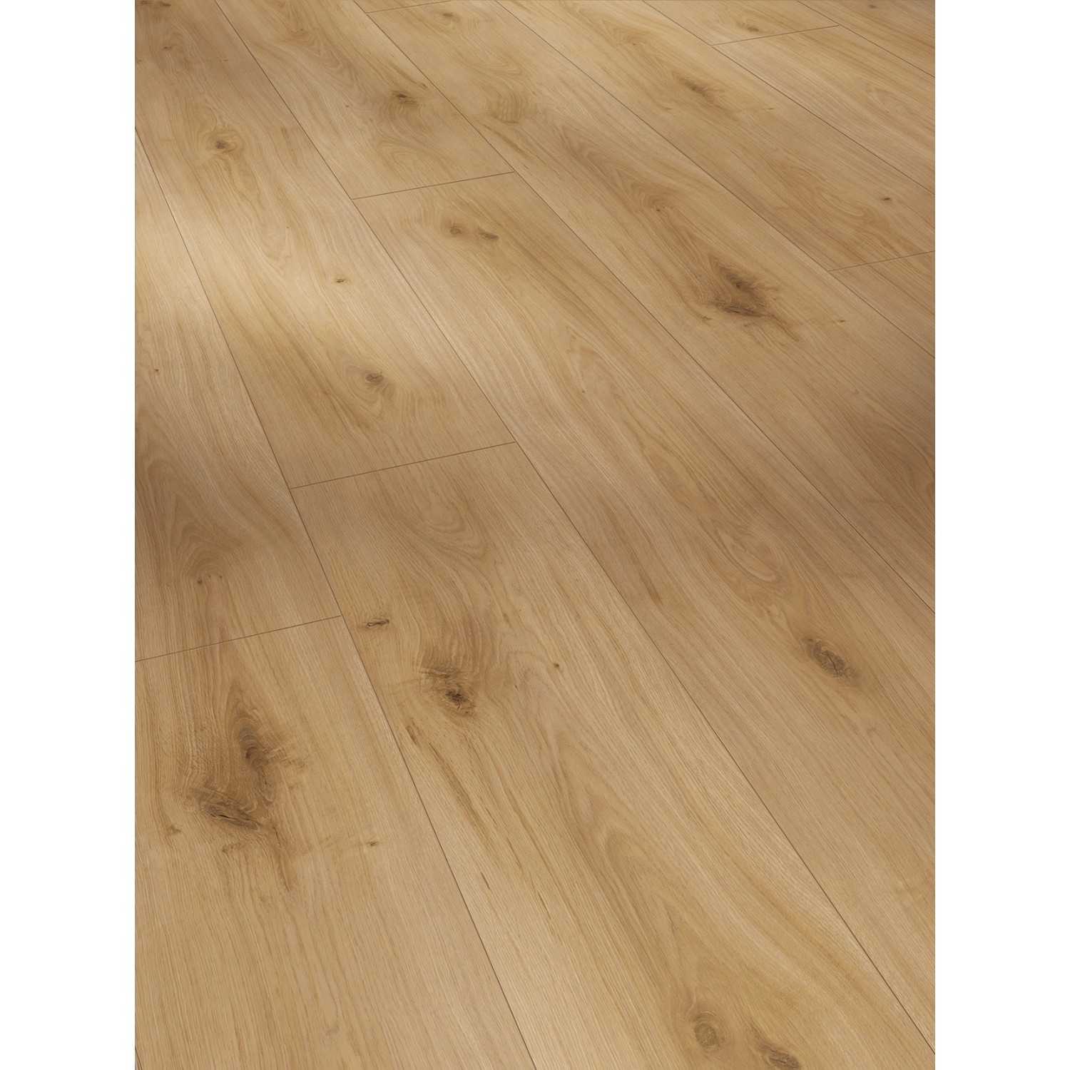 Parador Laminat Basic 600 Eiche Horizont Natur, wasserfest, 8mm stark.