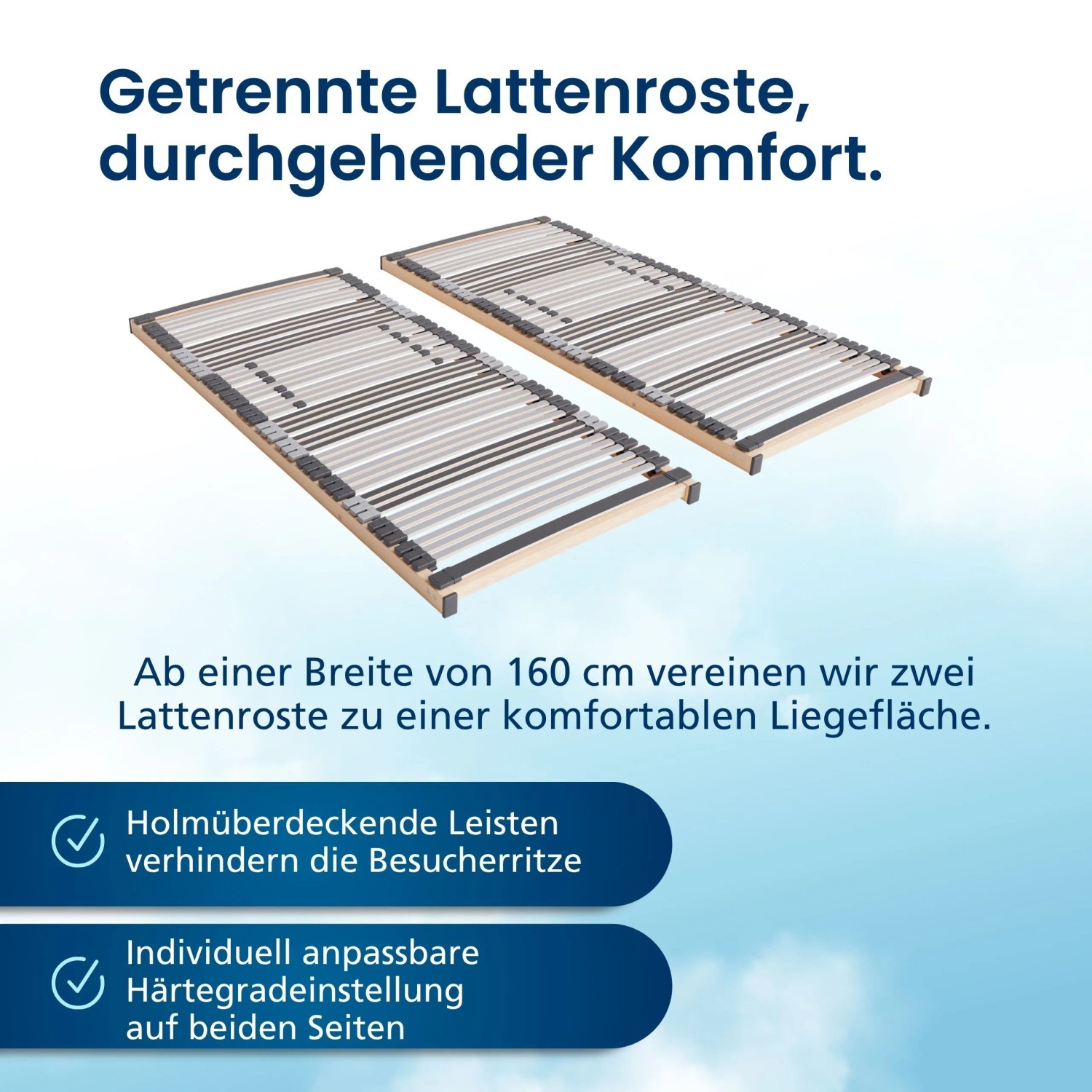 Vormontierter 7-Zonen Lattenrost 110x200 cm mit Federleisten, Made in Germany.