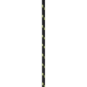 Schwarze Seilflechter Trimmleine (Ø 4 mm) mit goldfarbenen Akzenten.