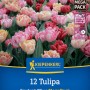 Kiepenkerl Mega-Pack: 12 gefüllte Foxtrot Tulpenzwiebeln. Farbenfroher Mix aus rosa, cremefarbenen und roten Blüten.