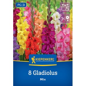 Kiepenkerl Blumenzwiebeln Großblumige Gladiole Holländische Mischung