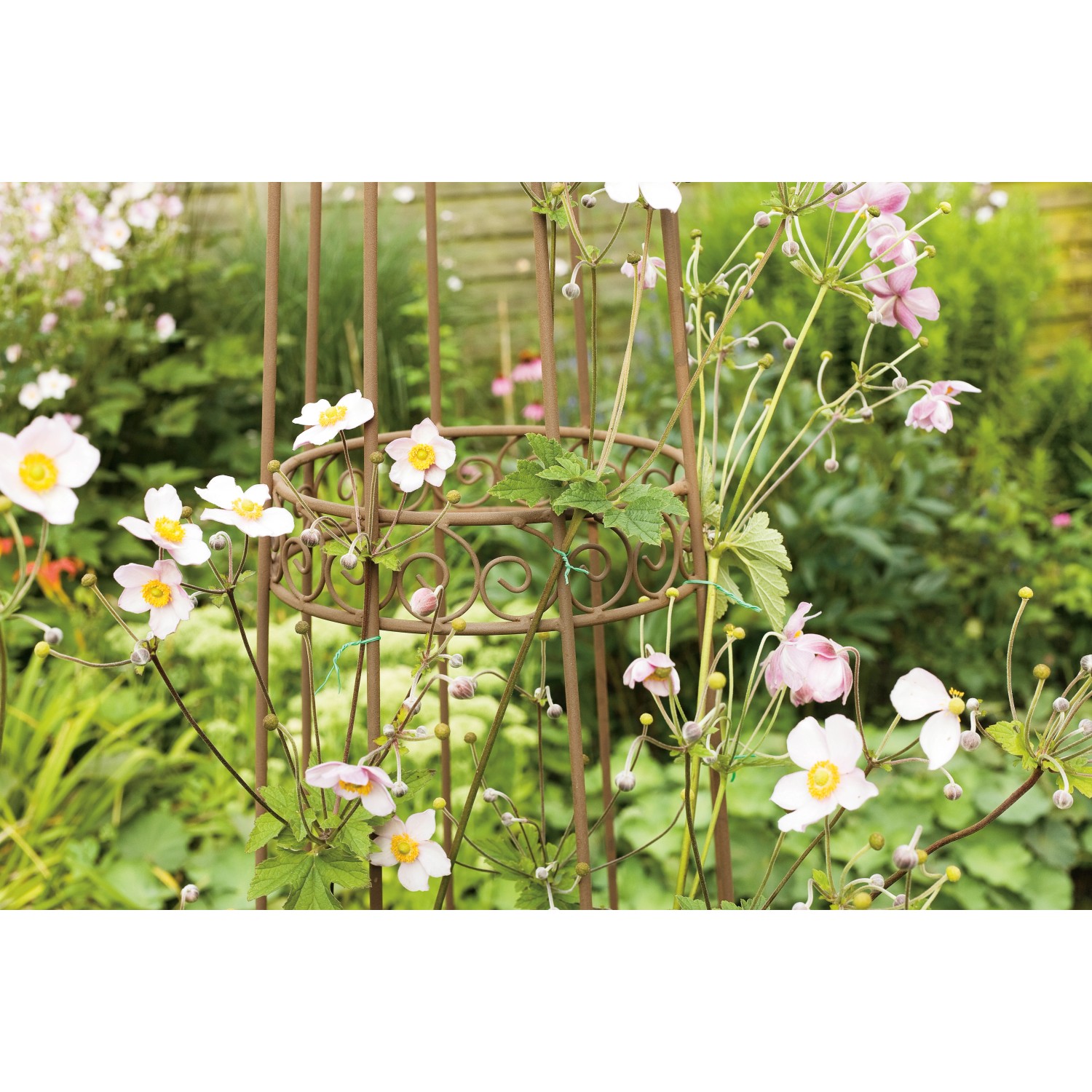 71-teiliges Pflanzen-Bindeset zur Fixierung von Pflanzen im Garten.