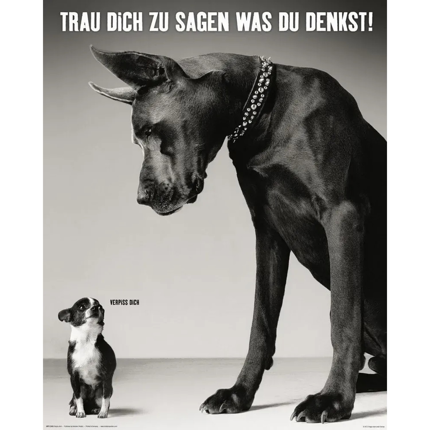 Deco Panel Fertigbild mit dem Motiv einer Dogge und einem kleinen Hund. Wandbild für Wohnräume.