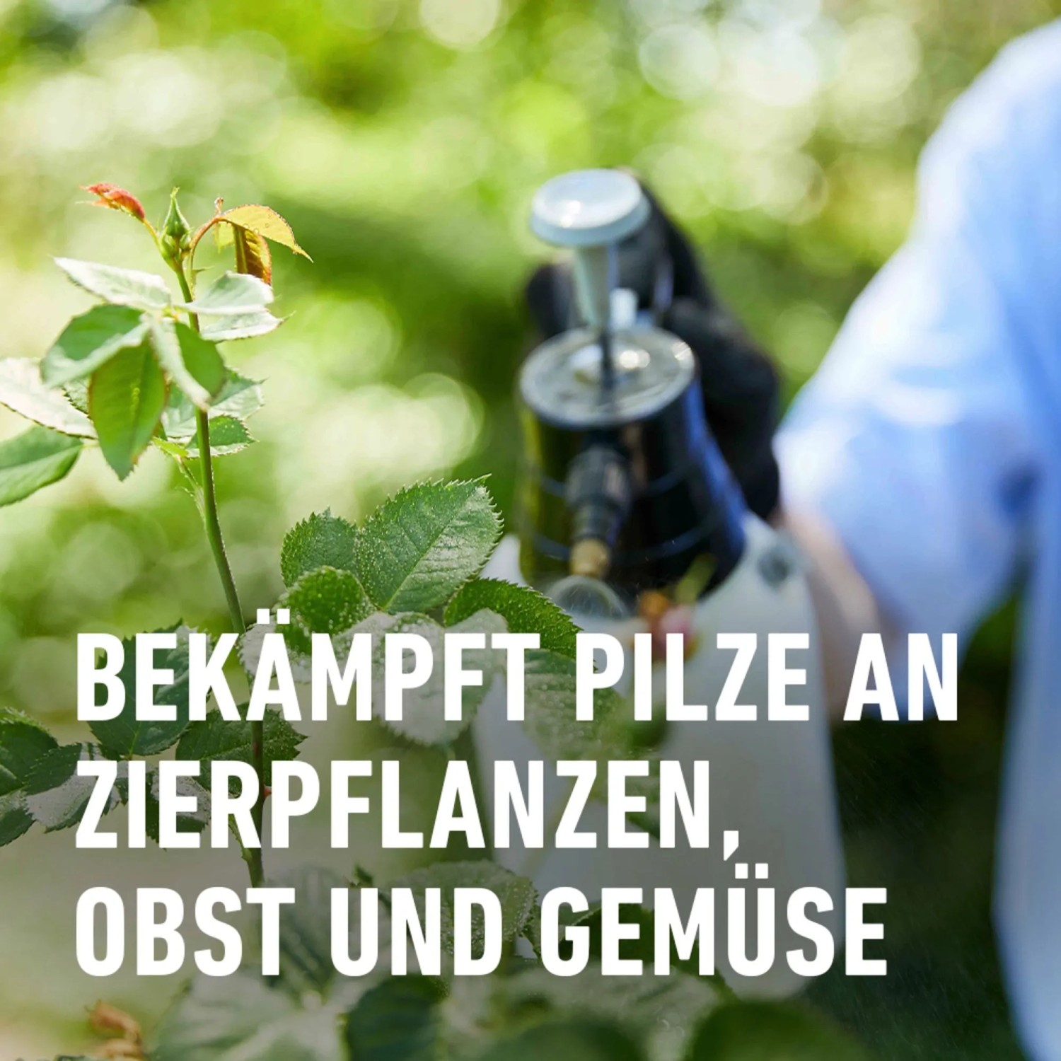 Compo Duaxo Universal Pilz-frei AF 750 ml kaufen bei OBI