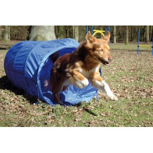 Blauer Agility Tunnel (500 cm, Ø 60 cm) mit Hund beim Durchlaufen. Apportierspielzeug für Hunde.