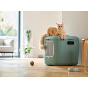 Rotho Katzentoilette Biala XL in Mistletoe Green mit Katze auf dem Deckel.