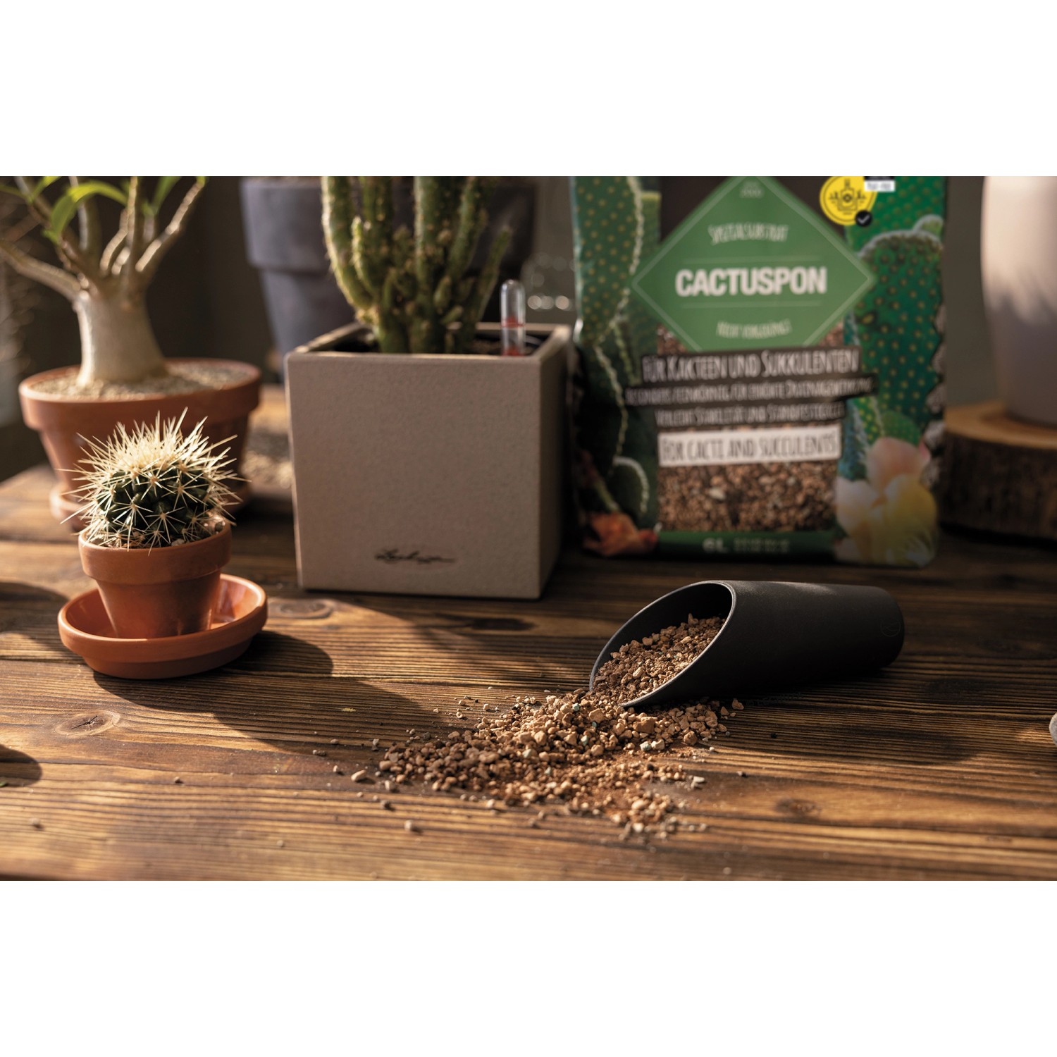 Lechuza Cactus Pon Pflanzsubstrat 6l mit Kakteen und Schaufel auf Holztisch.