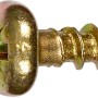 Gelb verzinkte Spanplattenschraube, Halbrundkopf, PZ-Antrieb, 5x12 mm, 15 Stück.