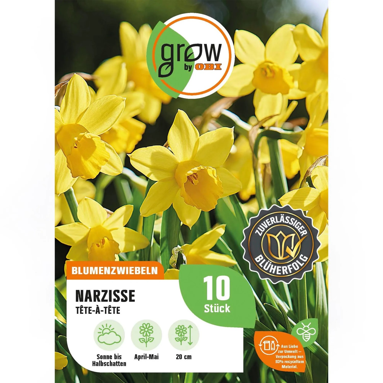 Gelbe Narzisse Tete-a-Tete von GROW by OBI, Blumenzwiebeln für Beet und Topf.