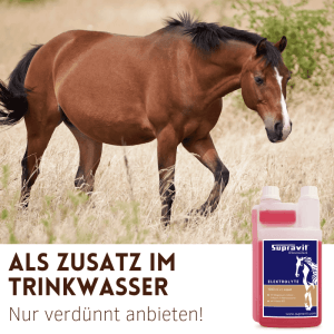 Braunes Pferd auf Wiese; Supravit Elektrolyte Liquid für Pferde in praktischer Dosierflasche. Flüssiges Ergänzungsfutter.