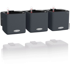 Lechuza Green Wall Home Kit Color Schiefergrau, 3 Kräutertöpfe mit Bewässerungssystem.
