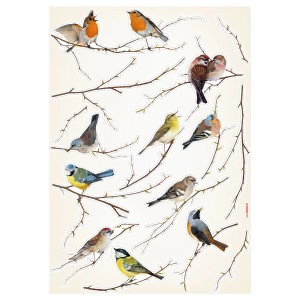 Komar Wandsticker Vogerl 70 cm x 50 cm