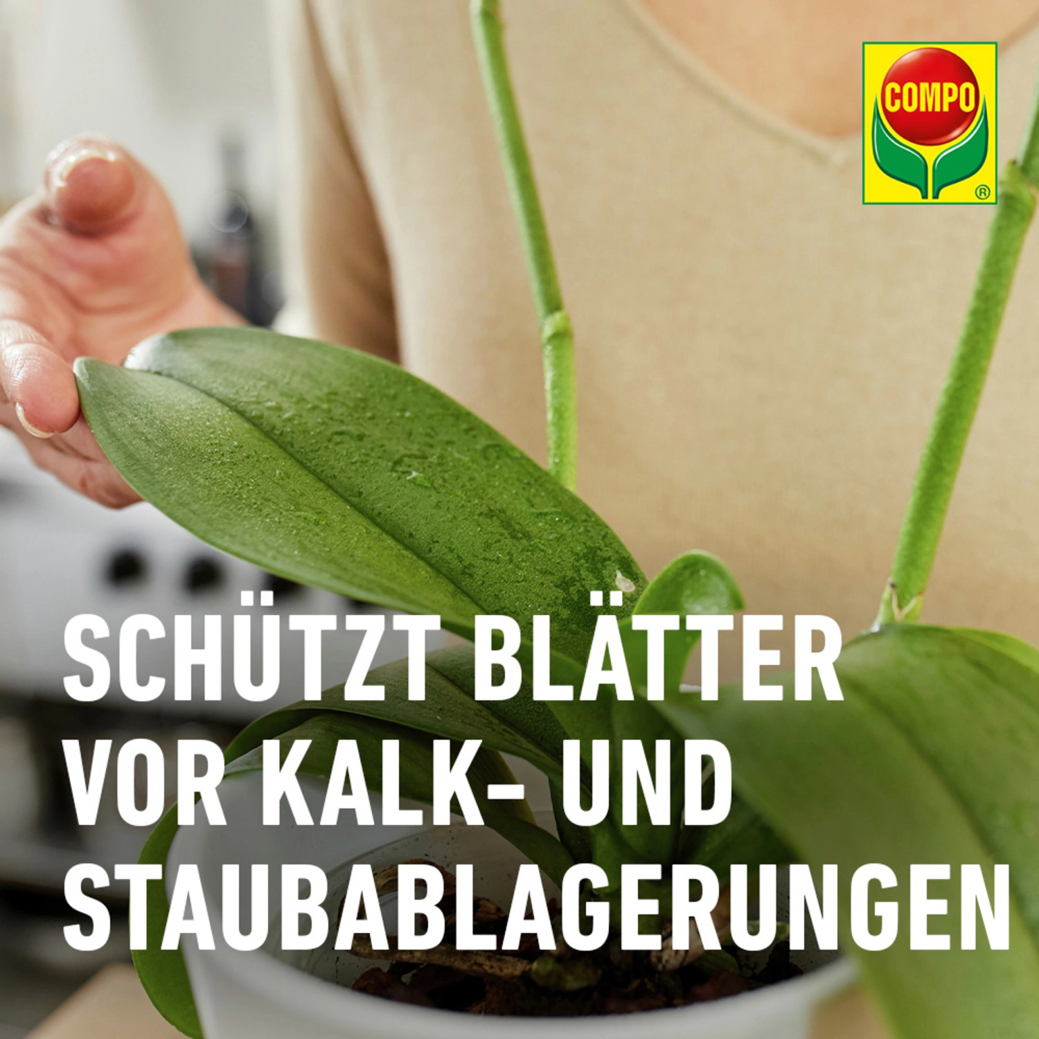 Compo Blattpflege für Orchideen 250 ml_10
