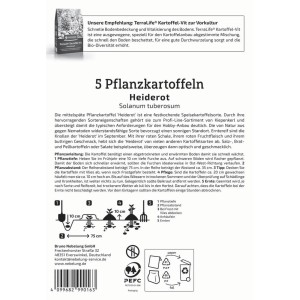 Kiepenkerl Pflanzkartoffel Heiderot, 5 Stück, mit roter Schale und rotem Fruchtfleisch.
