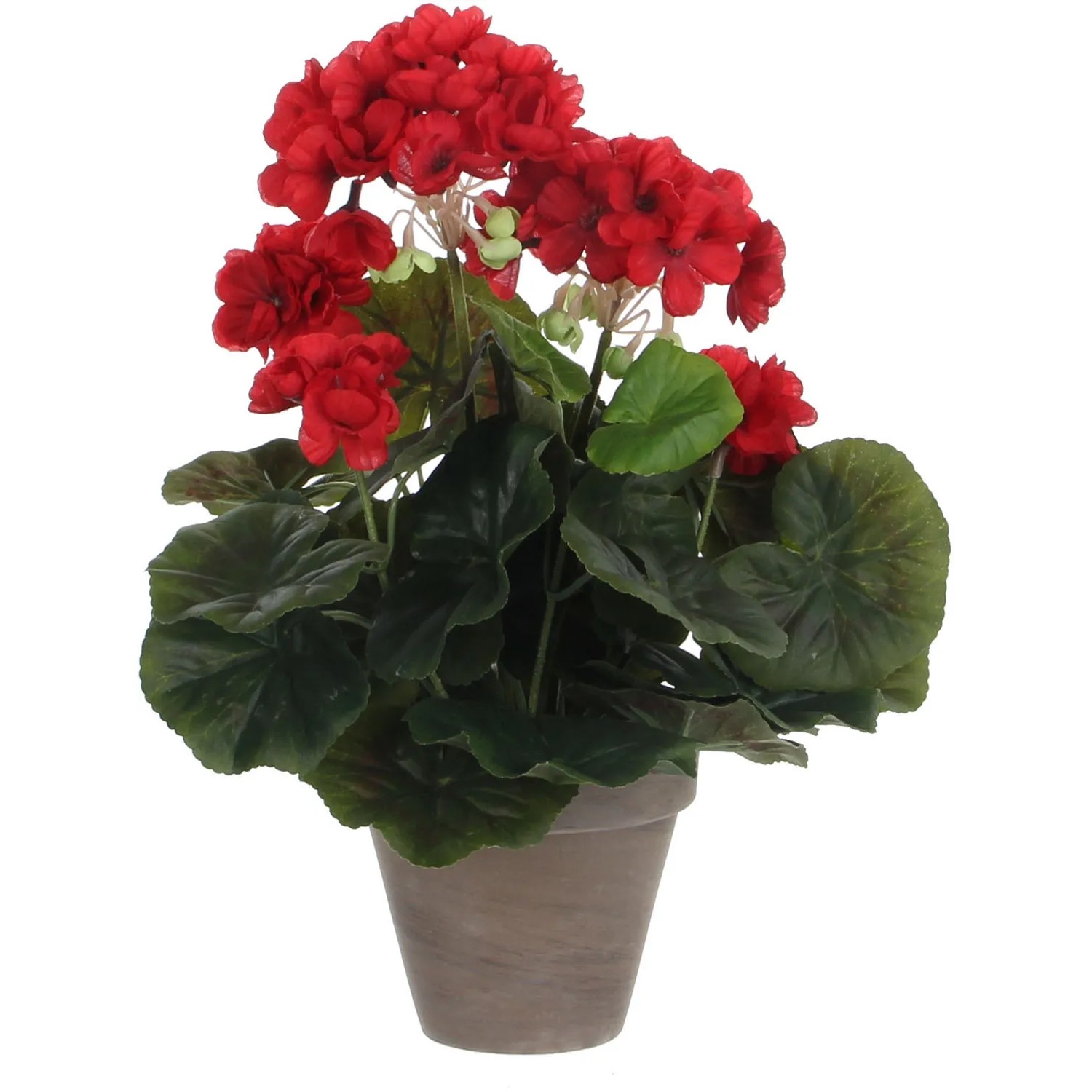 Mica Decorations Kunstpflanze Geranie im Blumentopf Stan  20 cm x 34 cm  Rot kaufen bei OBI