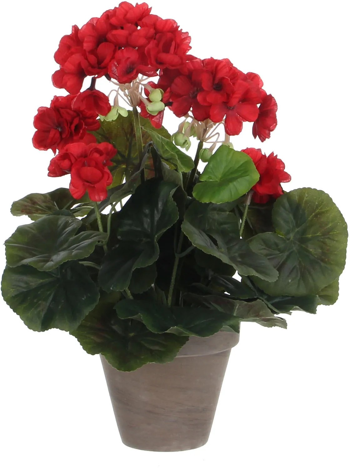 Lamela Wenus Blumentopf – 20 X 14,5 Cm, Rot Transparent, Mit Topfabstandhalter, Für Orchideen